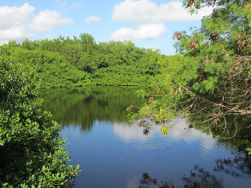 Bávaro Lagoon