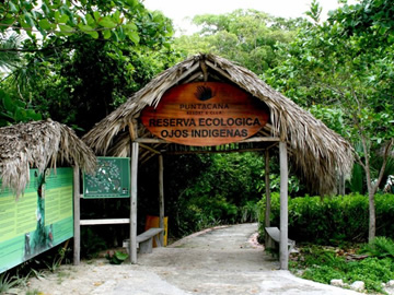 Ojos Indígenas Ecological Reserve